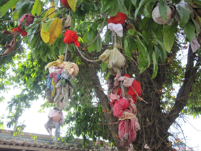 Picture Gallery Mopidevi Temple